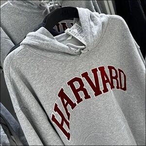 Gray Harvard Hoodie